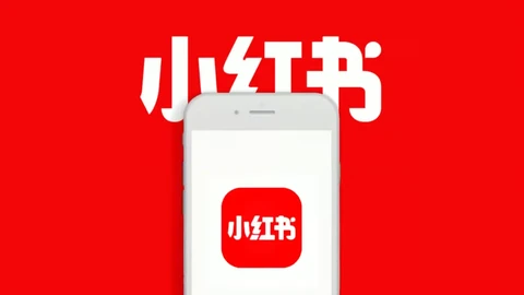 小红书运营全景避坑指南：从账号定位到商业变现的8个关键雷区封面